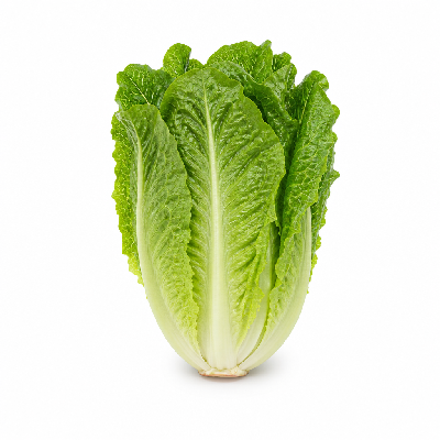 Piada Italian Street Food Romaine Regular