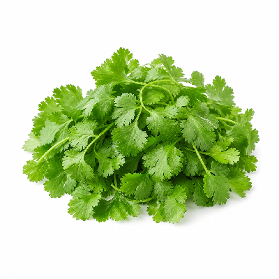 Pieology Extras Cilantro Fresh