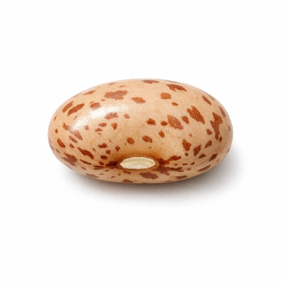 Pinto beans raw