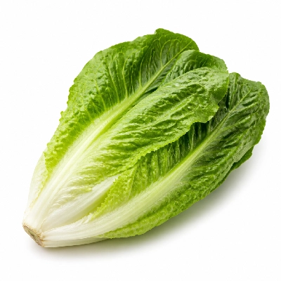 Pizza Ranch Romaine Lettuce
