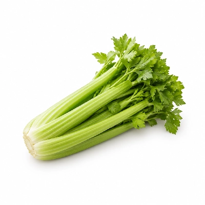 Ponderosa & Bonanza Steakhouse All You Can Eat Buffet Celery