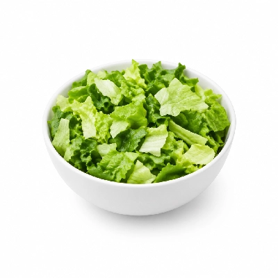 Ponderosa & Bonanza Steakhouse All You Can Eat Buffet Lettuce Chopped Mix