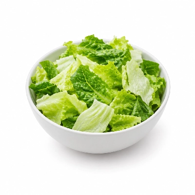 Ponderosa & Bonanza Steakhouse All You Can Eat Buffet Lettuce Romaine and Iceberg Mix