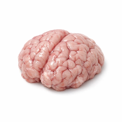 Pork fresh variety meats and by-products brain raw