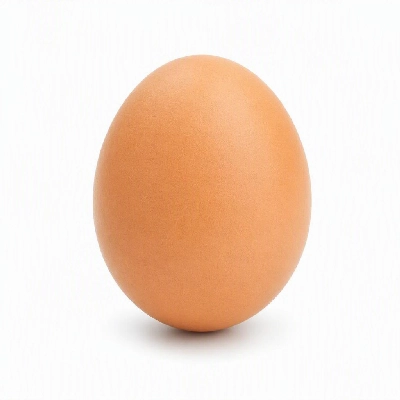 President's Choice Organics Dairy Eggs Large