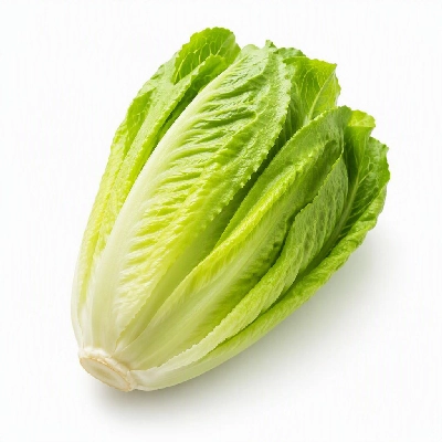 President's Choice Produce Organics Romaine Lettuce Hearts