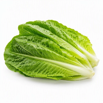 President's Choice Produce Organics Salad Baby Romaine