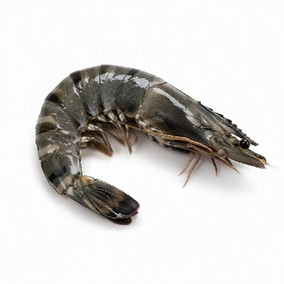 President's Choice Seafood Black Tiger Zipperback Shrimp Raw