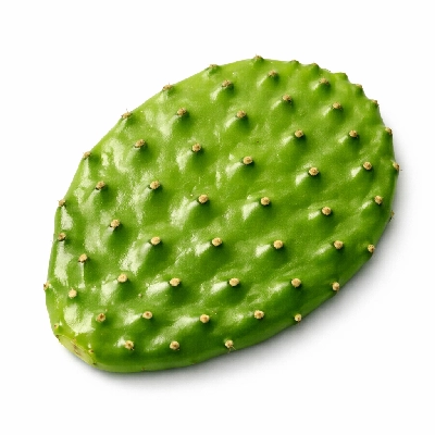Prickly pear cactus or nopal raw