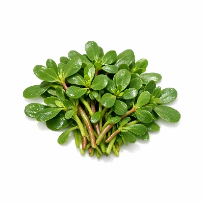 Purslane raw