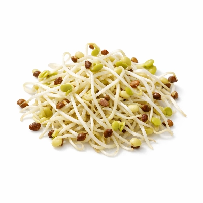 Radish seeds sprouted raw