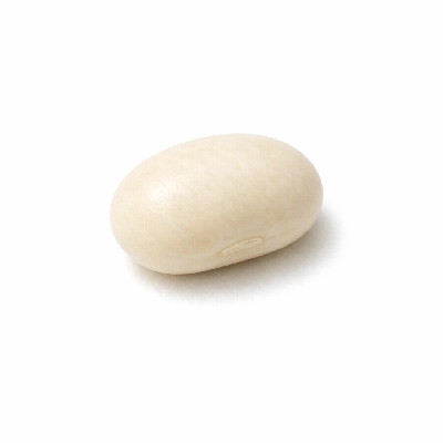 Raw small white beans