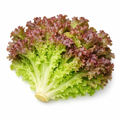Lettuce red leaf raw