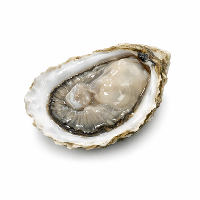 Red Lobster Lunch Menu Seasides Starters Oysters on the Half Shell