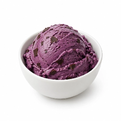 Ritter's Frozen Custard Black Raspberry Chip Small
