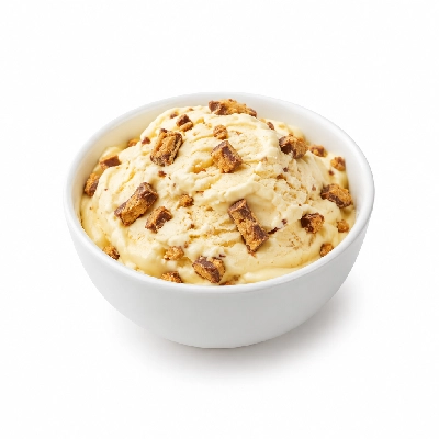 Ritter's Frozen Custard Butterfinger Medium
