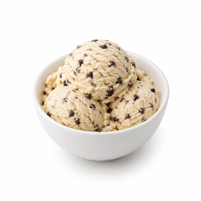 Ritter's Frozen Custard Chocolate Chip Kids
