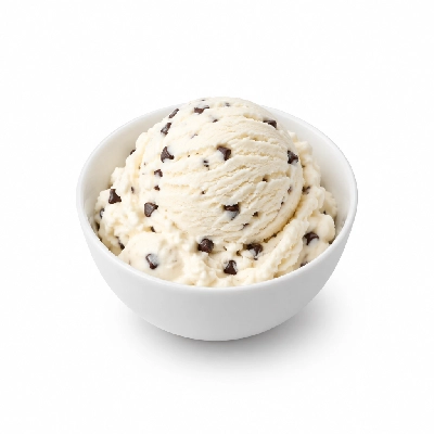 Ritter's Frozen Custard Chocolate Chip Large