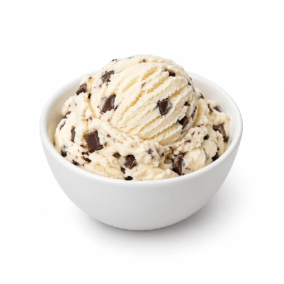 Ritter's Frozen Custard Chocolate Chip Medium
