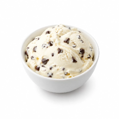 Ritter's Frozen Custard Chocolate Chip Small