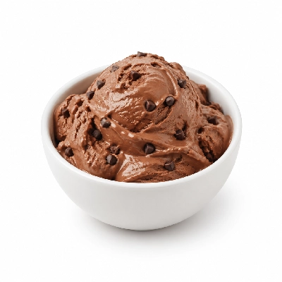 Ritter's Frozen Custard Chocolate Choco Chip Large