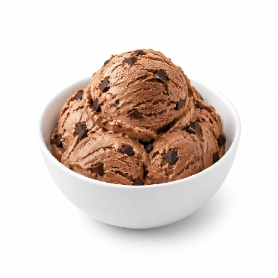 Ritter's Frozen Custard Chocolate Choco Chip Medium