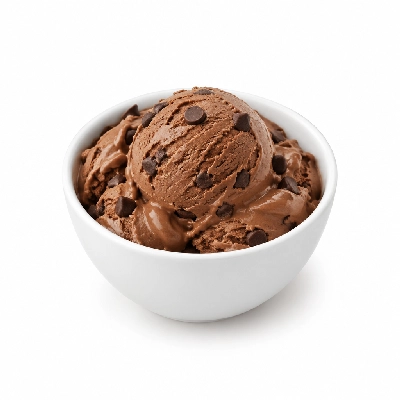 Ritter's Frozen Custard Chocolate Choco Chip Small