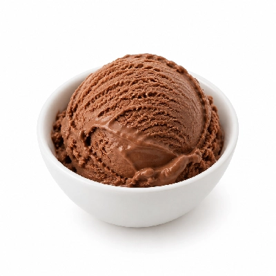 Ritter's Frozen Custard Chocolate Malt Kids