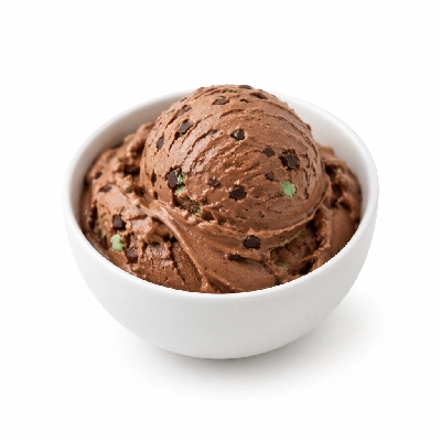 Ritter's Frozen Custard Chocolate Mint Large