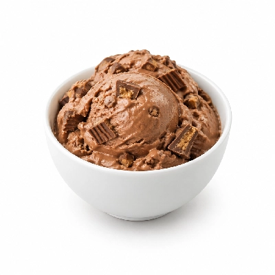 Ritter's Frozen Custard Chocolate Peanut Butter Cup Large