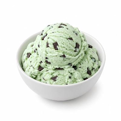 Ritter's Frozen Custard Mint Chocolate Chip Kids