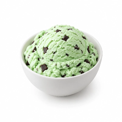 Ritter's Frozen Custard Mint Chocolate Chip Medium