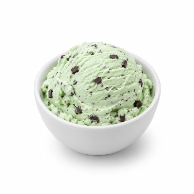 Ritter's Frozen Custard Mint Chocolate Chip Small
