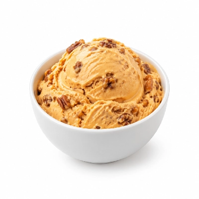 Ritter's Frozen Custard Pumpkin Pecan Praline Kids