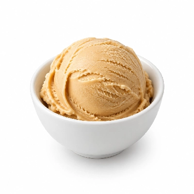 Ritter's Frozen Custard No Sugar Added Frozen Ice Caramel Custard Medium