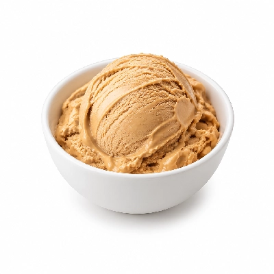 Ritter's Frozen Custard No Sugar Added Frozen Ice Caramel Custard Small