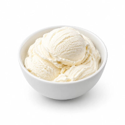 Ritter's Frozen Custard No Sugar Added Frozen Ice Vanilla Custard Kids