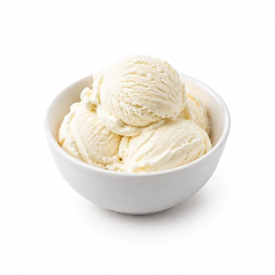 Ritter's Frozen Custard No Sugar Added Frozen Ice Vanilla Custard Large