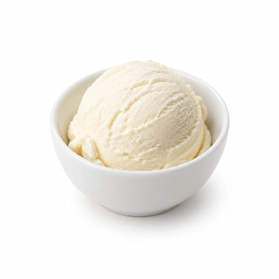 Ritter's Frozen Custard No Sugar Added Frozen Ice Vanilla Custard Small