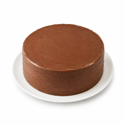 Ritter's Frozen Custard Specialty Round Cakes Party Torte Chocolate Cocoa