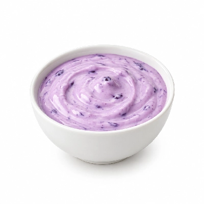 Ritter's Frozen Custard Yogurt Blueberry Kids