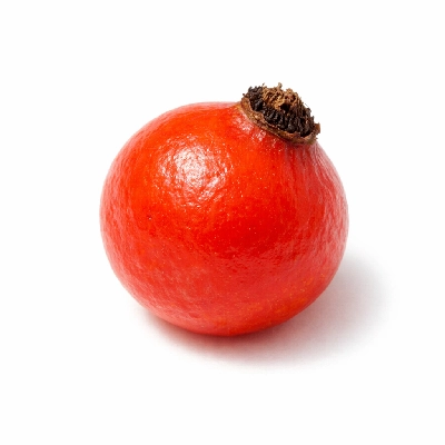 Rose hips wild (northern plains indians)