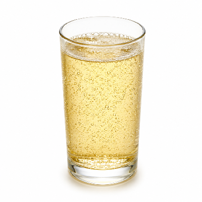 Sainsbury's Drinks Carbonates All Flavoured Diet Dry Ginger Ale