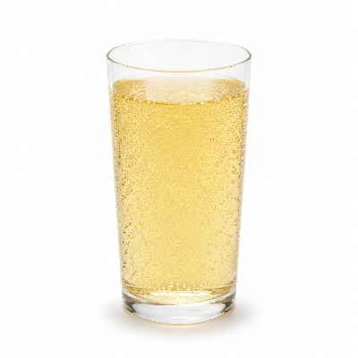 Sainsbury's Drinks Dirt Dry Ginger Ale