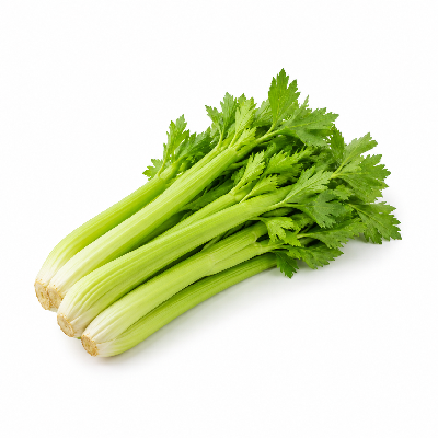 Sainsbury's Fair Trade Organic Salad Celery