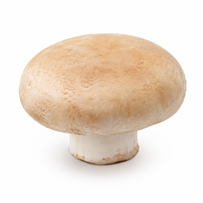 Sainsbury's Fair Trade Organic Vegetables Flat Mushroom So
