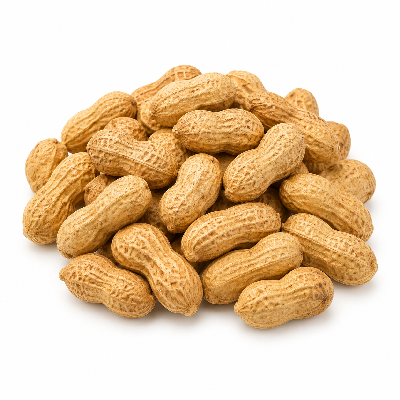 Sainsbury's Food Cupboard Monkey Nuts Roasted Peanuts in Shells