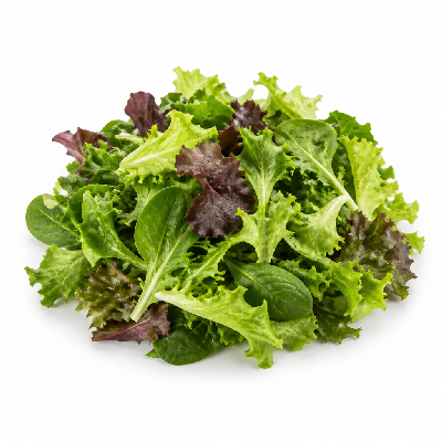 Sainsbury's Fresh Food Bagged Salad Continental Four Leaf