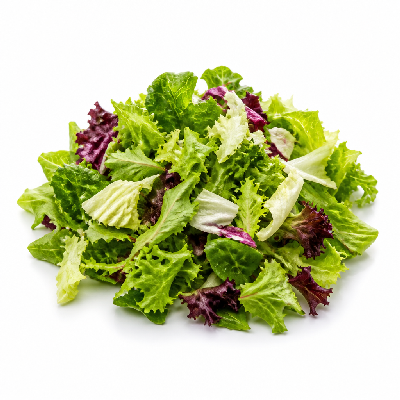 Sainsbury's Fresh Food Bagged Salad Crunchy Sweet Leaf Salad