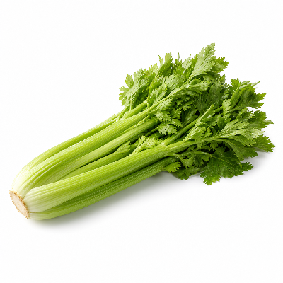 Sainsbury's Fresh Food Celery Organic